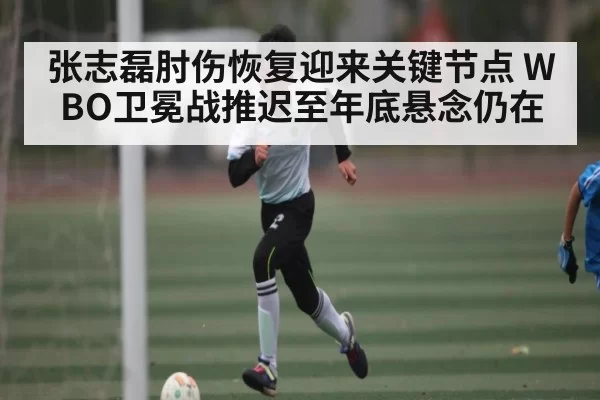 张志磊肘伤恢复迎来关键节点 WBO卫冕战推迟至年底悬念仍在
